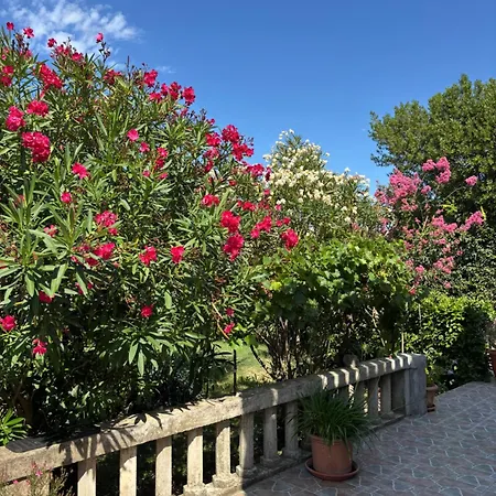 Apartment Moderan Smjestaj S Velikom Terasom I Parkingom *